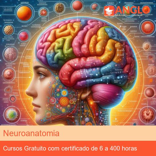 Neuroanatomia